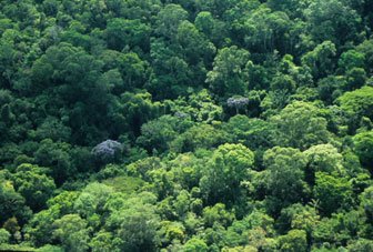 Biodiversidade da Zona Costeira e Marinha do Brasil