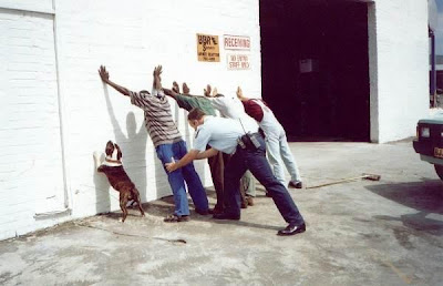 Cachorro criado na favela. kkkkkkkkkk!