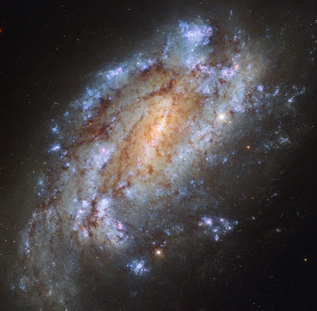 Spiral Galaxy NGC 1559