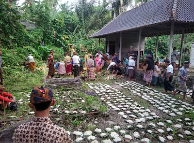 Tradisi Langka ngangon Pada Sasih Karo 