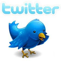 Twitter logo pájaro