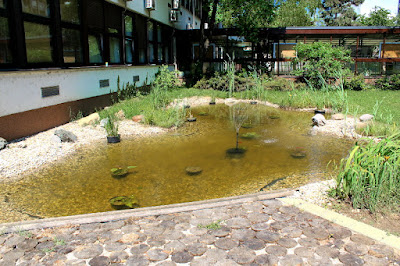 Fontana - Ulica grada Vukovara 269