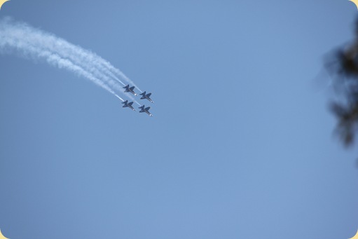 Blue Angels 010