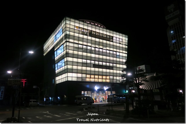 日本四國德島  Daiwa Roynet Hotel (53)