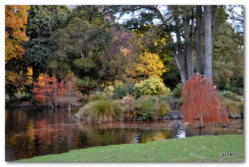 Những khu vườn thực vật ở Christchurch New Zealand