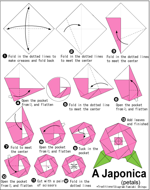  Cara  Membuat  Origami  Bunga Kamelia Camellia Cara  