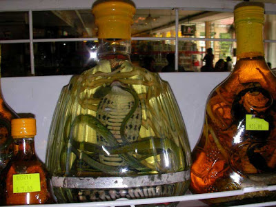 Snake Wine Seen On CoolPictureGallery.blogspot.com Or www.CoolPictureGallery.com