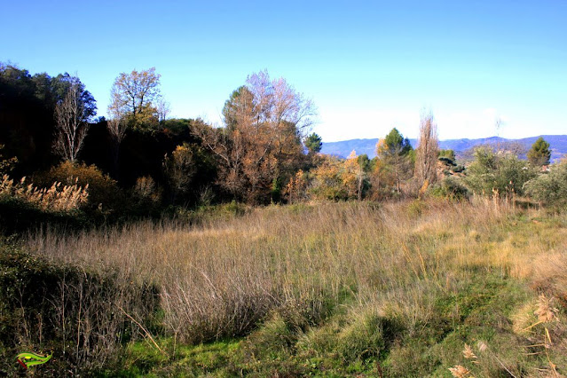 Sendero de La Era del Concejo (PR-A-76)