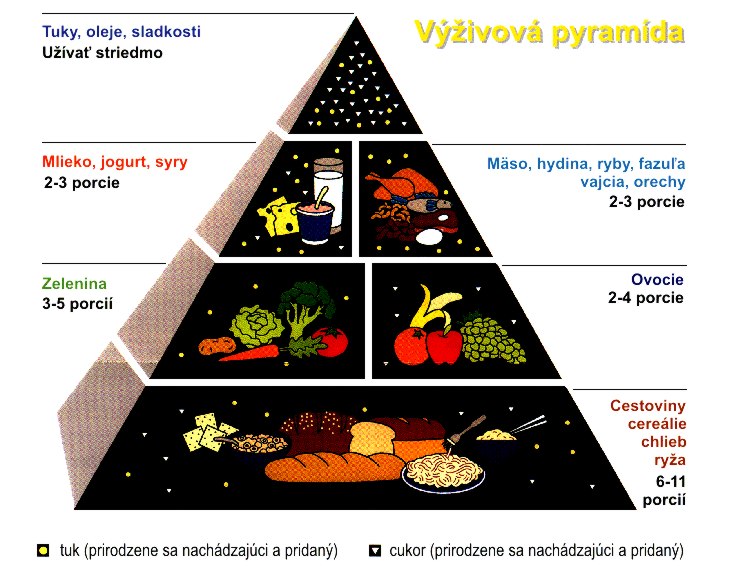 food pyramid 2011. girlfriend food pyramid 2011.