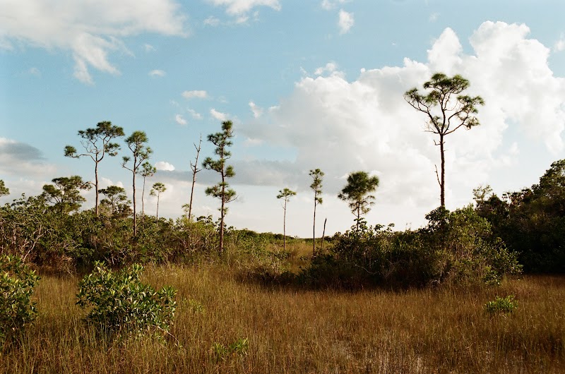 Florida Everglades