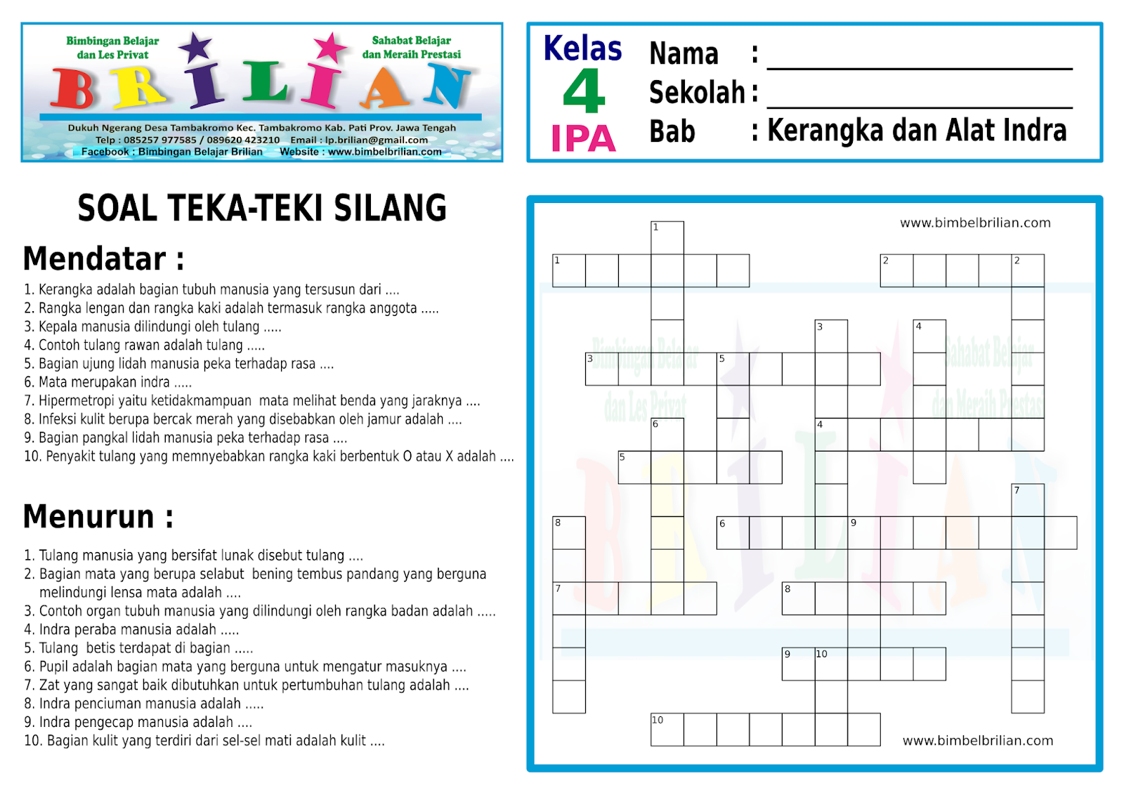 Soal Teka-Teki Silang ( TTS ) IPA Kelas 4 SD Bab 1 Kerangka dan Inda