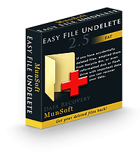  Easy FAT File Undelete v2.5