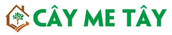 Cây Me Tây
