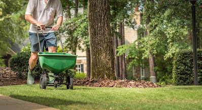 professional lawn care howell
