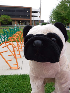 a pug appears next to a bike rack shaped like carrots. a large modern parking garage is visible in the background