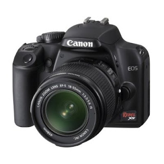 camera, Canon, Digital SLR, Street style