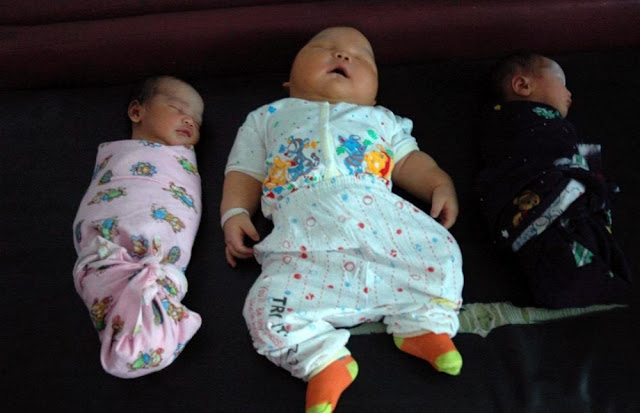Avez Vous Deja Vu Les 10 Bebes Les Plus Gros Du Monde Nous Nous Les Avons Compiles Pour Vous Avez Vous Deja Vu Les 10 Bebes Les Plus Gros Du Monde Nous Nous Les Avons Compiles Pour Vous
