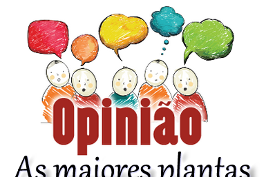 As maiores plantas de 2019 nos realities brasileiros.