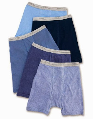 hanes boxer briefs