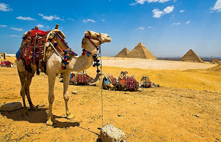 Egypt-wonderful