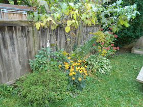 Riverdale backyard Toronto fall clean up before by Paul Jung Gardening Services