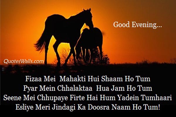 Good Evening Shayari in Hindi  Whatsapp  Status  Pictures 