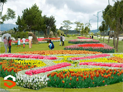 Da Lat city says it with flowers, once again 4