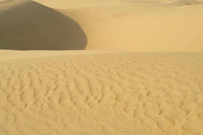 Beautiful Desert