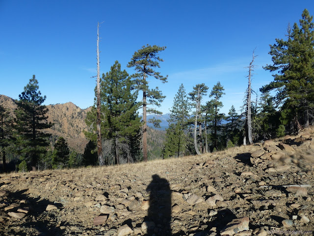 direction along Bear Creek