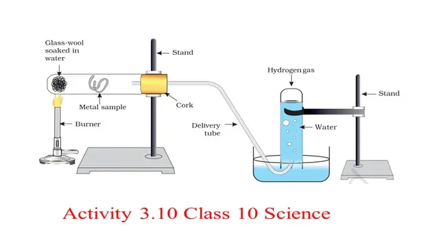 NCERT Activity 3.10 Class 10 Science Explanation