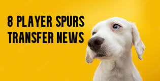 8 Player Spurs Transfer News