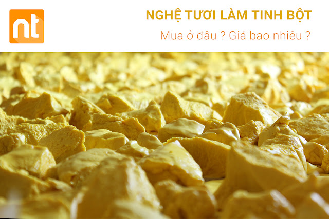 nghệ tươi làm tinh bột