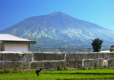 Gunung Arjuno