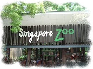 Singapore Zoological Gardens - Singapore