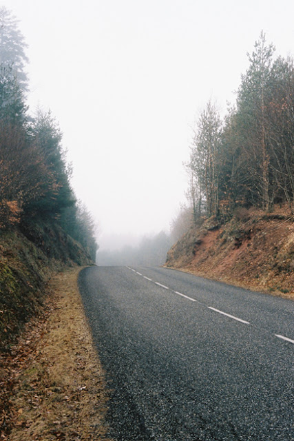 from the series 'Long Term Parking' by photographer Nicolas Poillot. a lonely highway in the fog, pine trees, springtime