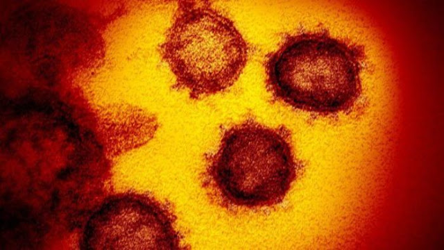 Why is coronavirus not flu? www.researchingaliensandufos.com