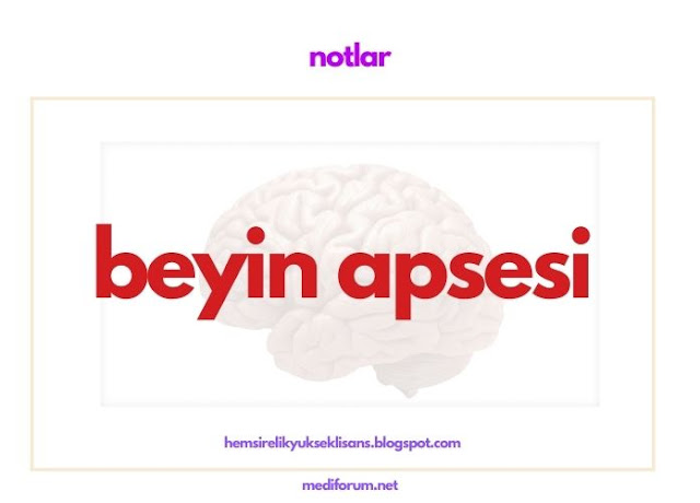 beyin apsesi