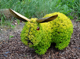 Imaginary Worlds, Rabbits, Atlanta Botanical Garden