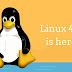 Linus Torvalds Lança o Kernel Linux 4.16