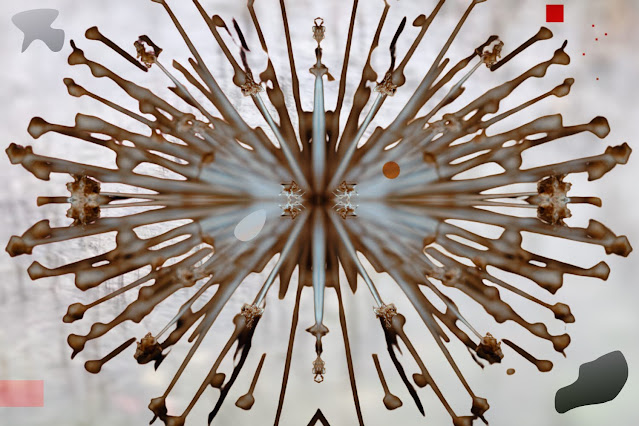 art photography, photo editing, creative photography, artwork, abstract art