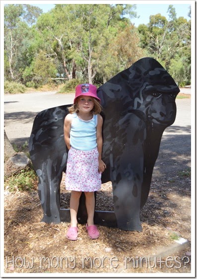 How Many More Minute? ~ Werribee Zoo