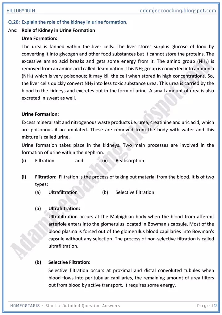 homeostasis-short-and-detailed-answer-questions-biology-10th