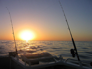 Fishing trips in Sydney Australia