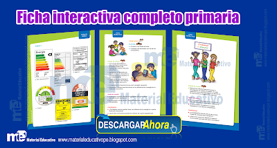 FICHA INTERACTIVA EN PRIMARIA 