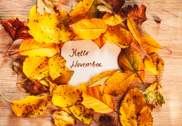 Best Happy New Month of November Messages, Wishes and Sayings for Family and Friends