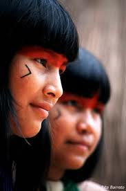 Missões com os Índios do Brasil .. .