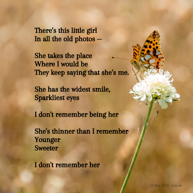 22 Mar  //  There's this little girl  / In all the old photos --  //   She takes the place /  Where I would be /  They keep saying that she's me.  //   She has the widest smile, /  Sparkliest eyes  //   I don't remember being her  //   She's thinner than I remember /  Younger  / Sweeter   //  I don't remember her