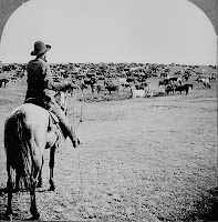 cowboy in 1902