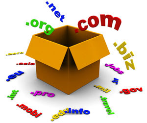 Domain Reseller