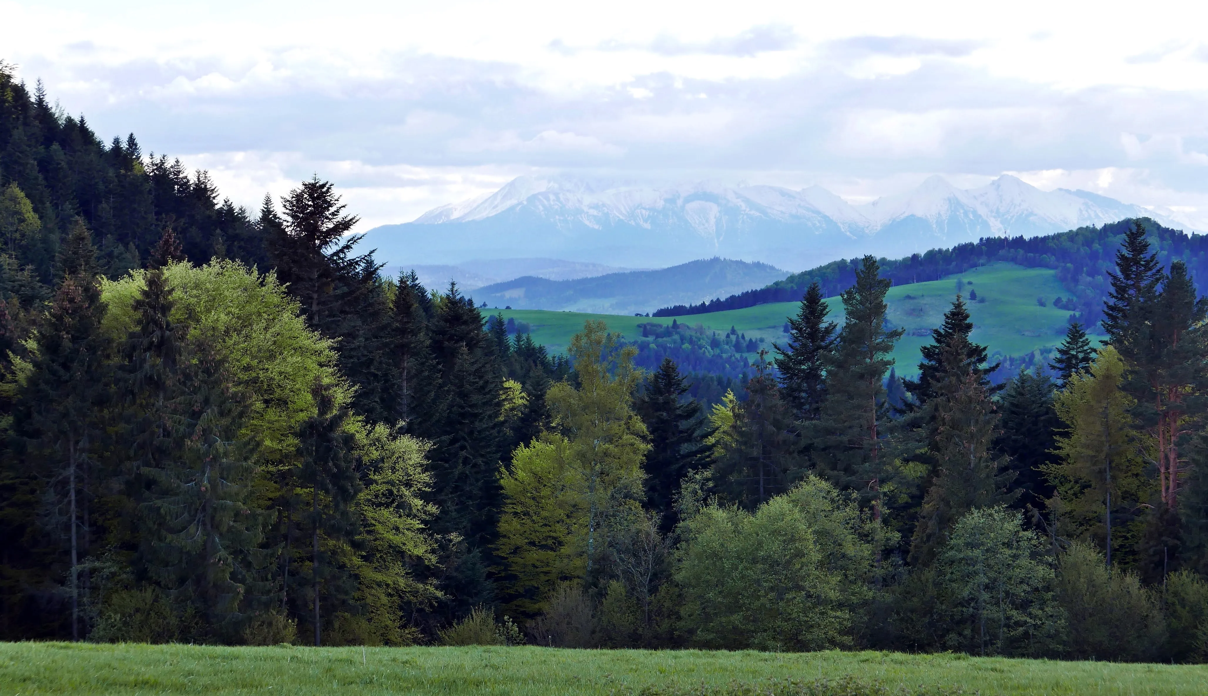 Pieniny Wysoki Wierch. Wysoki Wierch szlak ze Szlachtowej. Najpiękniejsze widoki w Pieninach. Panoramy Pieniny. Szlaki turystyczne w Pieninach.